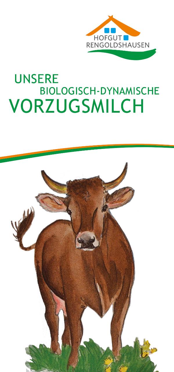 Produktfoto zu Vorzugsmilchflyer