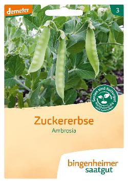 Zuckererbse Ambrosia