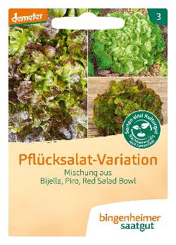 Pflücksalatmischung Pflücksalat Variationen