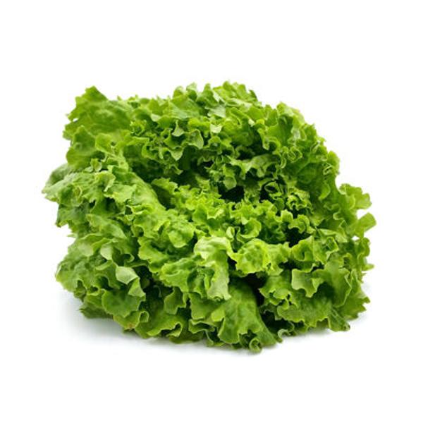 Produktfoto zu Batavia-Salat
