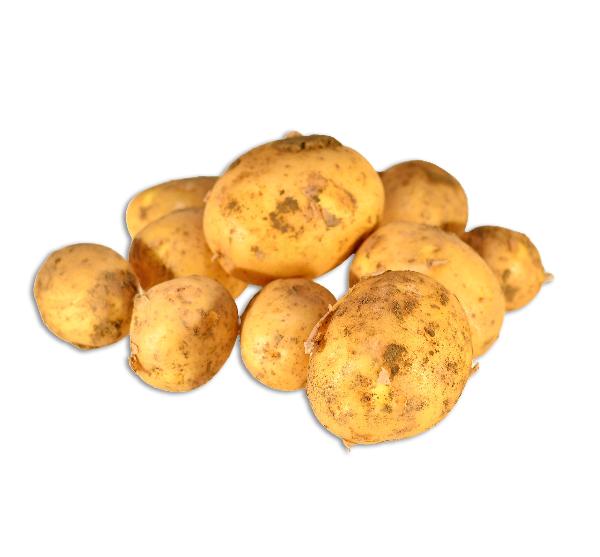 Produktfoto zu Frühkartoffeln Neue Ernte