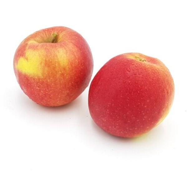 Produktfoto zu Äpfel