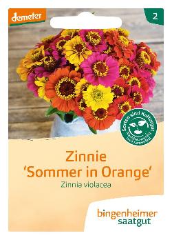 Zinnie Sommer in Orange