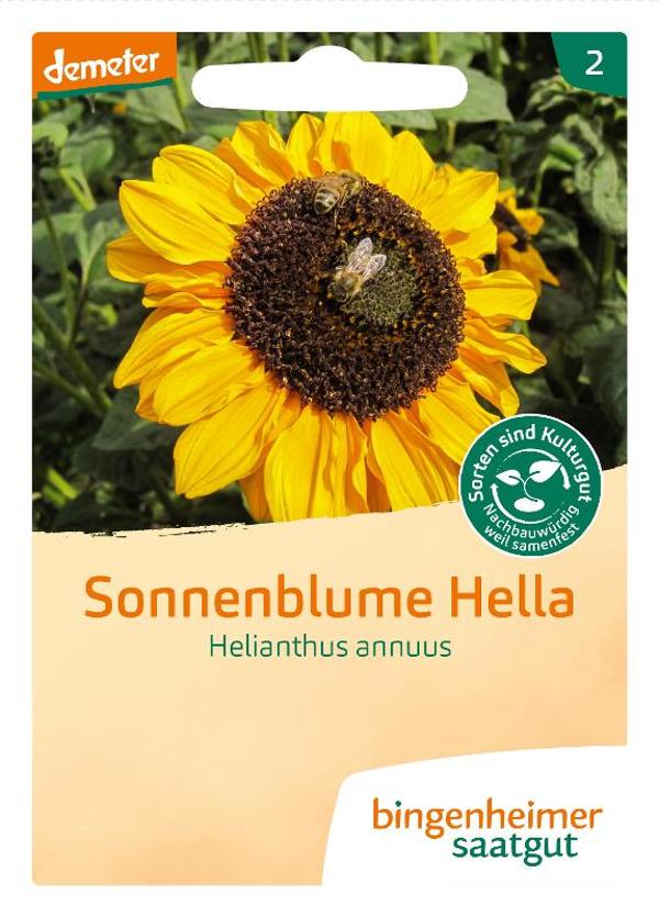 Produktfoto zu Sonnenblume Hella