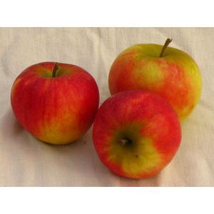 Apfel fürs Büro saftig