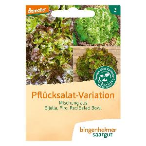 Pflücksalat Variation Saatgut