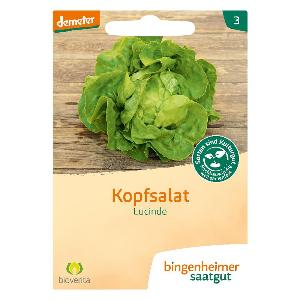 Kopfsalat Saatgut