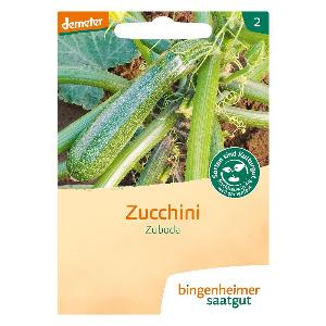 Zucchini Saatgut