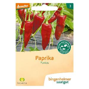 Paprika Saatgut