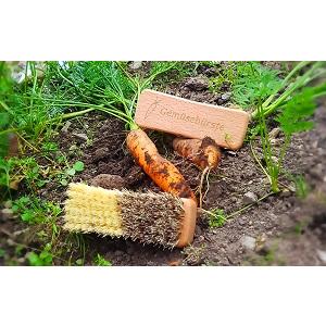 Gemüsebürste Buchenholz geölt