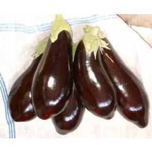 Auberginen