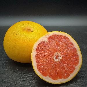 Grapefruit