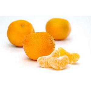 Mandarinen Satsumas