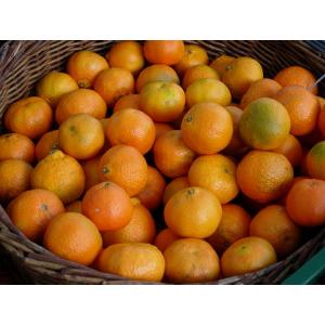 Mandarinen Clementinas