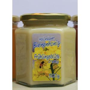 Frühlingsblütenhonig 500g