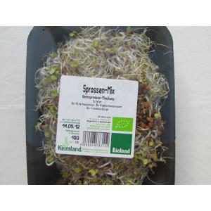 Sprossen-Mischung 145g