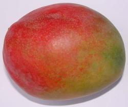 Mango Kent