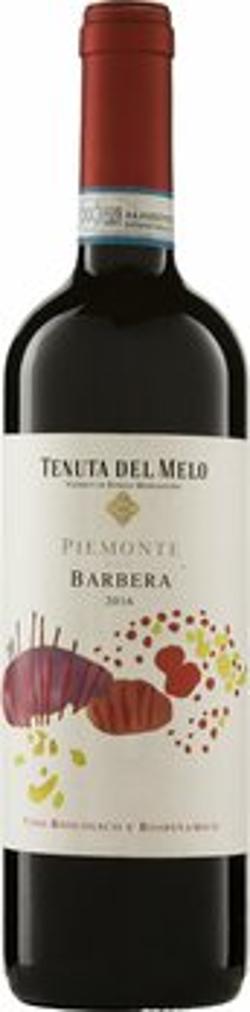 Barbera Piemonte DOC 2016 Tenu