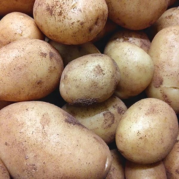 Produktfoto zu Schmorkartoffeln
