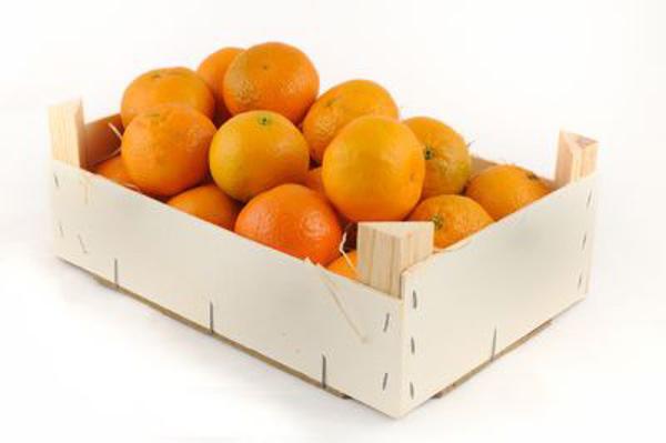 Produktfoto zu Orangen 3kg