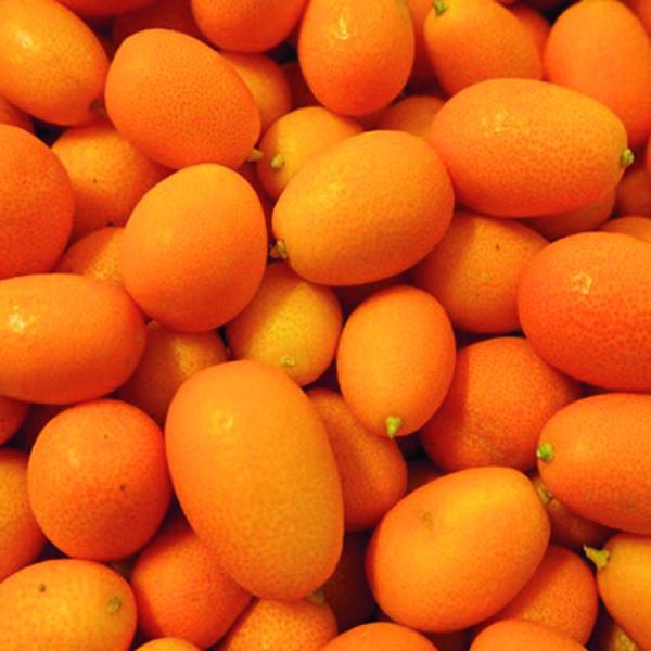 Produktfoto zu Kumquat, Bitterorange